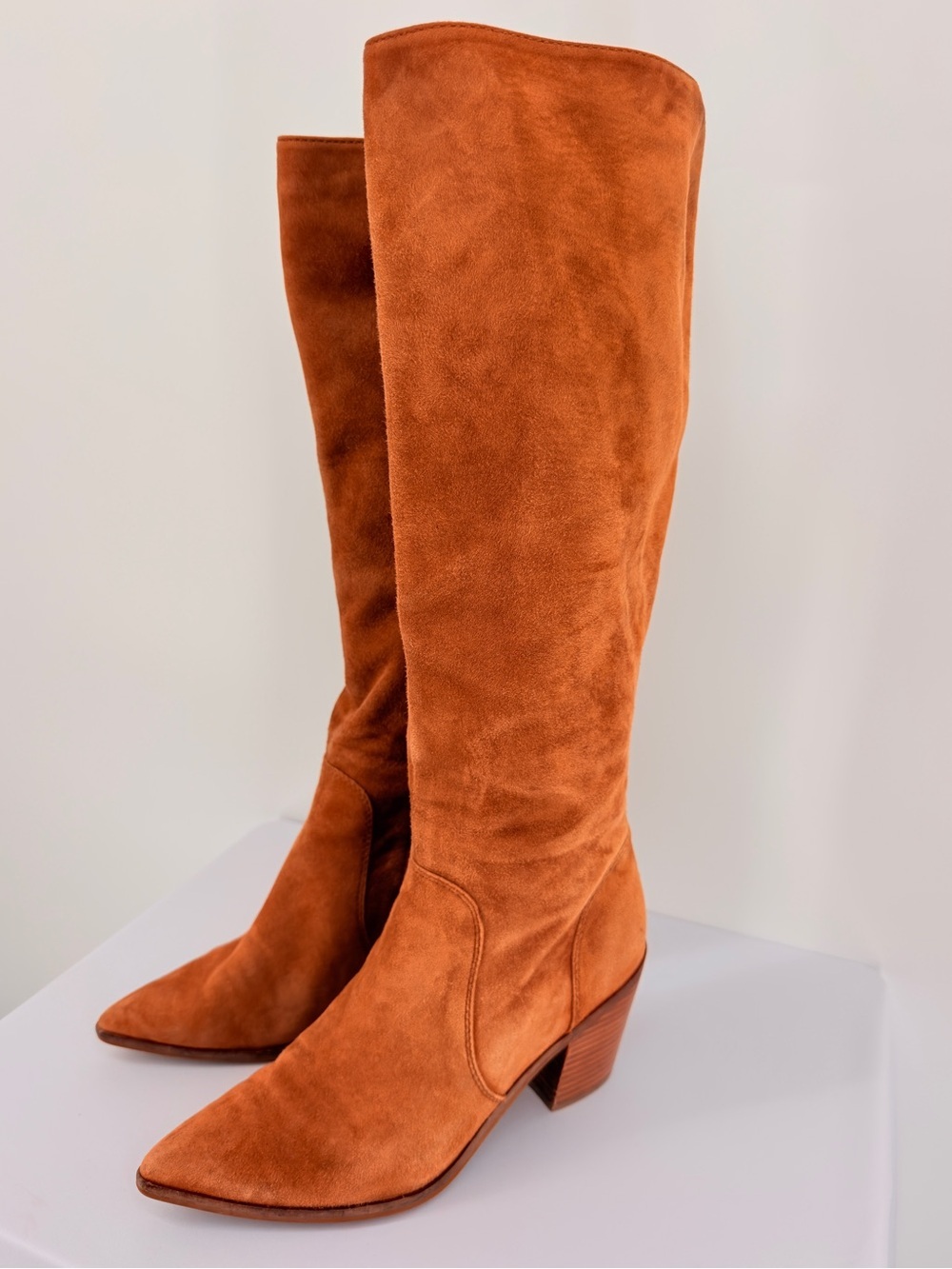 Cole Haan Camel Suede Knee High Boots Pointed Toe Size 10B